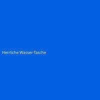 Herrliche Wasser-Tasche