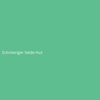 Schmieriger Seide-Hut