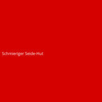 Schmieriger Seide-Hut