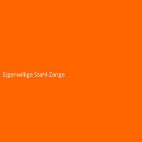 Eigenwillige Stahl-Zange