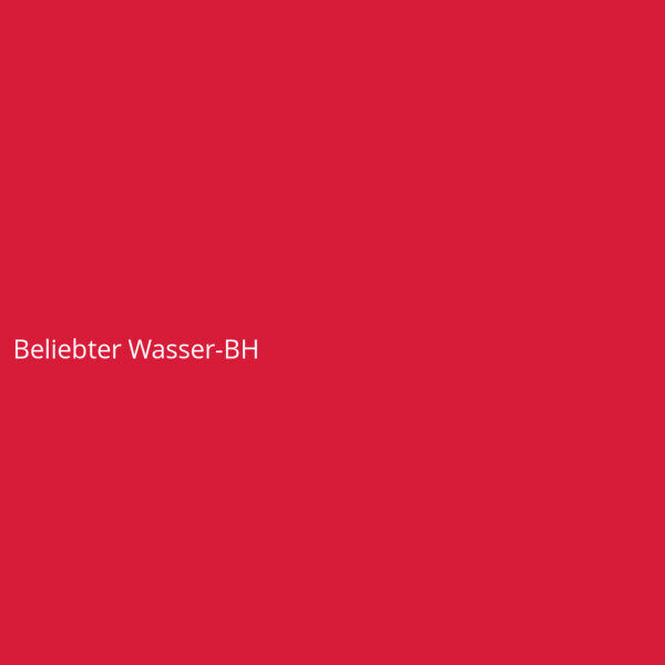 Beliebter Wasser-BH
