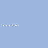 Adrettes Kupfer-Bett