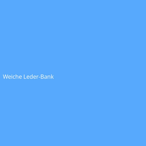 Weiche Leder-Bank