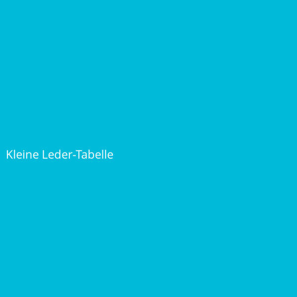 Kleine Leder-Tabelle