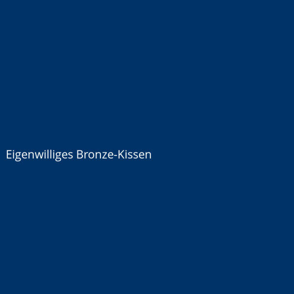 Eigenwilliges Bronze-Kissen