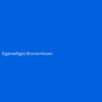 Eigenwilliges Bronze-Kissen