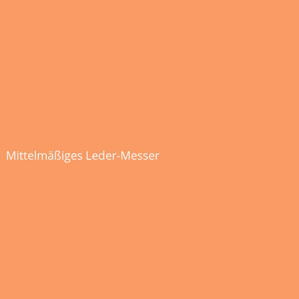 Mittelm&auml;&szlig;iges Leder-Messer
