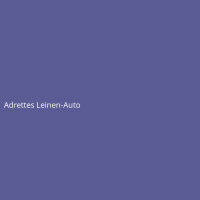 Adrettes Leinen-Auto